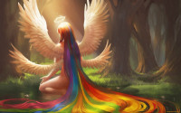 Double-winged-rainbow.jpg