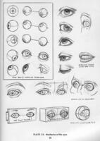 maxiol_loomis_drawing_the_head_and_hands_049.jpg