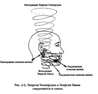 masag-vnutrennih-organiv-1-34.jpg