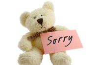 bear-sorry.jpg