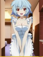 anime-infinite-stratos-sarashiki-tatenashi-910996.jpeg