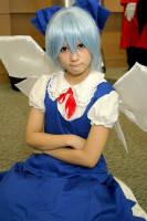 cirno.jpg