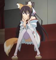 Houki-Fox-01.jpg