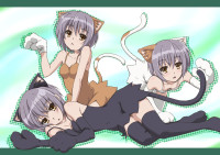 yande.re-171303-animal_ears-errant-nagato_yuki-nek.jpg