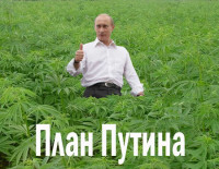 macro_план_путина.jpg