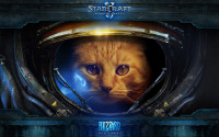 VolleMotion_SC2_cat01.jpg