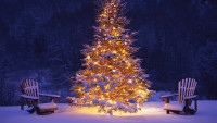 christmas-snow-trees-wallpaper.jpg