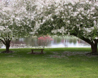 spring_00061.jpg