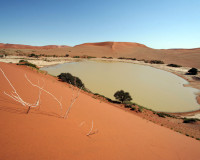 0607_namibia_desert.jpg