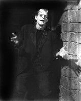 Annex-Karloff,-Boris-(Frankenstein)_hands.jpg