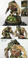 Ork_de_Nurgle.jpg