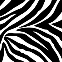 wpb99051-go-wild-black-and-white-zebra-print-wall.jpg