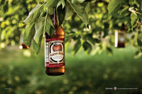 apple_beer_tree.jpg