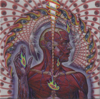 Lateralus.jpg