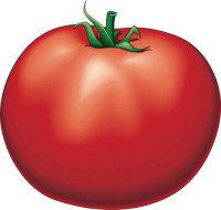 Tomato.jpg