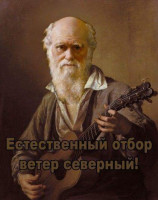 1376235228_estestvennyy-otbor-veter-severnyy.jpeg