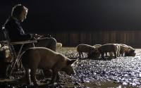 Upstream-Color-man-with-pigs-feature-image.jpg