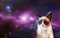 Grumpy-Cat-space.jpeg