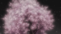 [HorribleSubs]-Mushishi-S2-06-[720p].mkv_snapshot_.jpg