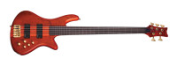 schecter_220.jpg