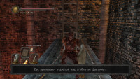 DarkSoulsII-2014-05-26-15-18-14-72.jpg