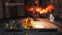 DarkSoulsII-2014-05-26-15-35-38-92.jpg