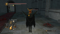 DarkSoulsII-2014-06-04-03-35-00-66.jpg