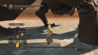 DarkSoulsII-2014-06-04-23-23-56-47.jpg