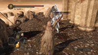 DarkSoulsII-2014-06-04-23-24-54-67.jpg