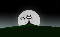 Drawn_wallpapers_Night_Cat_013816_.jpg