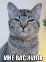 macro-мне-вас-жаль.jpg