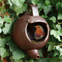 robin-teapot-nester-1297786609.jpg