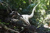 3524110_Bambiraptor-6.jpg
