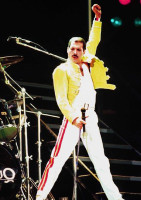 Freddie.jpg