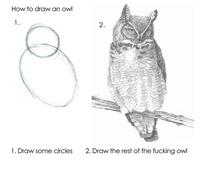 How-to-draw-an-owl.jpg