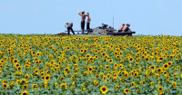 Ukraine-Soldiers-Sunflower.jpg