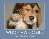 Youre-Awesome.jpg