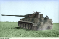 Tiger-331.jpg