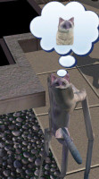 sims3-pet.jpg