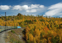 train_of_fall_by_sniperofsiberia-d4aah93.jpg