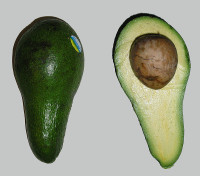 800px-Avocado.jpg