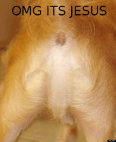 o-JESUS-DOG-BUTT-570.jpg