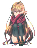 Toradora-Anime-Aisaka-Taiga-1308938.jpeg