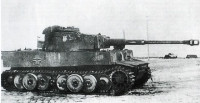 earlytiger502.jpg