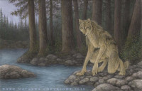 Wolf_Creek_by_darknatasha.jpg