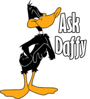 daffy_005_copy.jpg