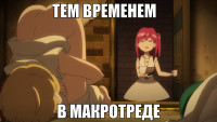 macro-тем-временем.jpg