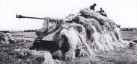 PantherMaskirovka.jpg