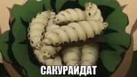 macro-сакурайдат.jpg