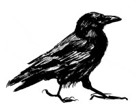 raven1-(1).jpg